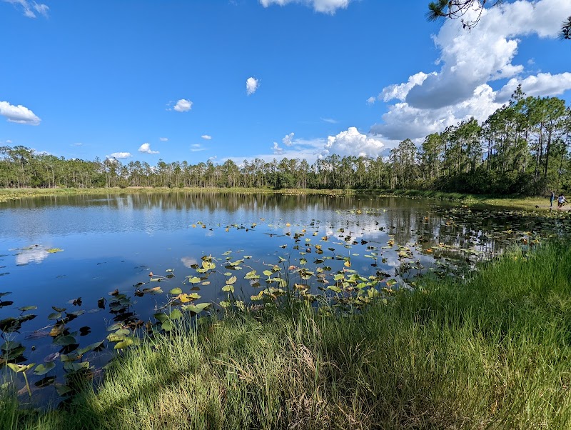 Discover the Beauty of Nature at Little Manatee River State Park surrounding landscape