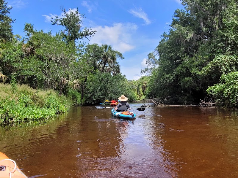 Discover the Beauty of Nature at Little Manatee River State Park outdoor detail