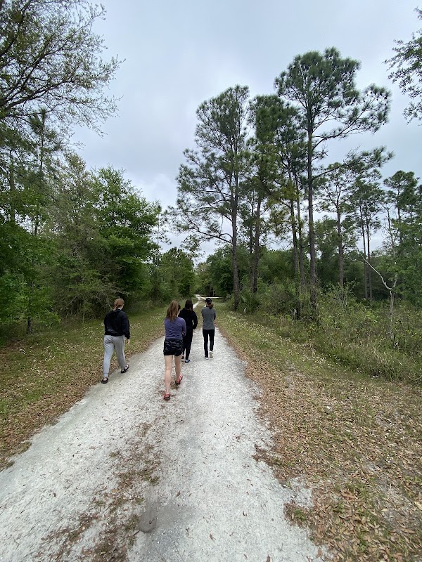 Nature's Retreat: Huckleberry Island Trailhead surrounding landscape