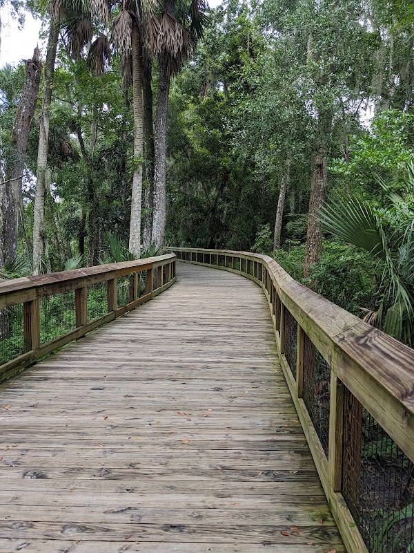 Hiking Through the Natural Wonders of Pine Island Trail - Pine island hiking trail