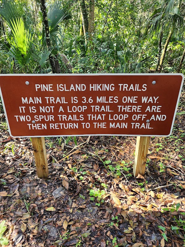 Hiking Through the Natural Wonders of Pine Island Trail outdoor detail