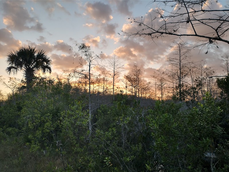 Florida's Natural Haven: Florida Trail Ochopee - Florida Trail Ochopee