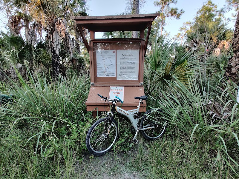 Florida's Natural Haven: Florida Trail Ochopee outdoor detail