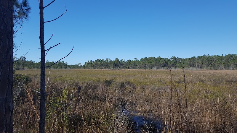 Wandering the Wilds of Lake Lizzie - Lake Lizzie Conservation Area North Trailhead