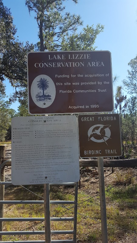 Wandering the Wilds of Lake Lizzie surrounding landscape