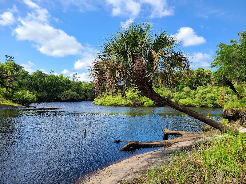 Wilderness Trails at Flagler Trail Trailhead surrounding landscape