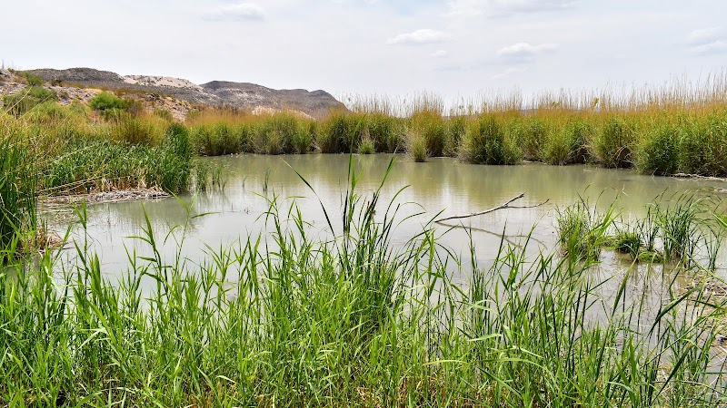 Discover the Rio Grande Village Nature Trail - Rio Grande Village Nature Trail