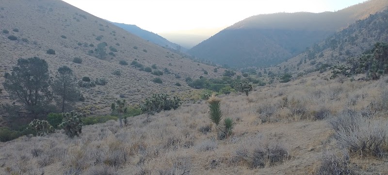 Kiavah Wilderness adventures