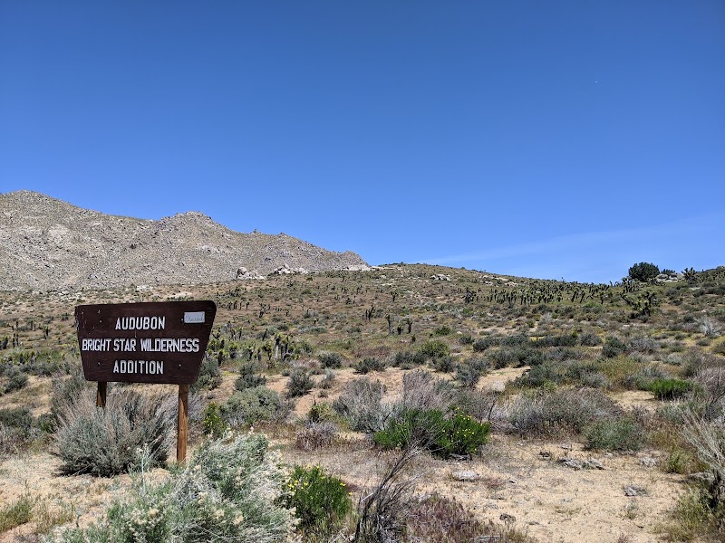 Rugged Beauty: Bright Star Wilderness - Bright Star Wilderness