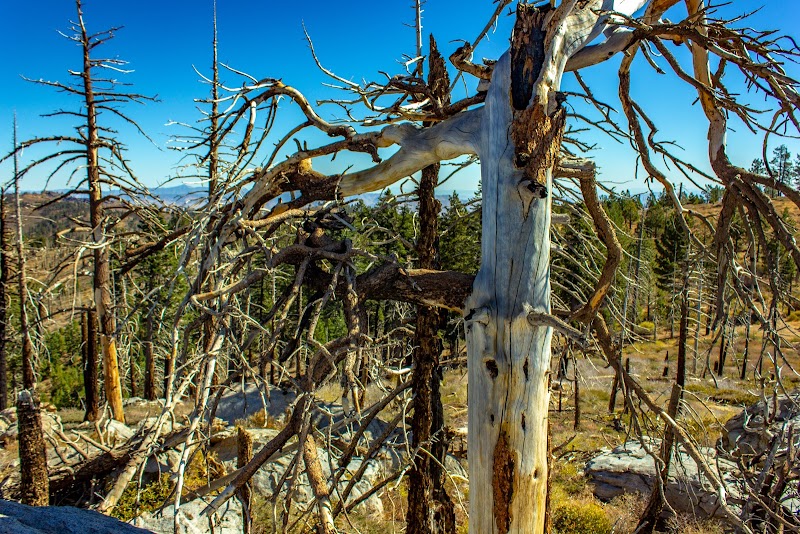 Mountaintop Marvel: Piute Peak in California - Piute Peak