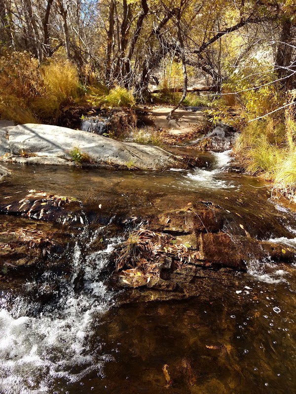 Cascading Wonders of South Creek Falls - South Creek Falls