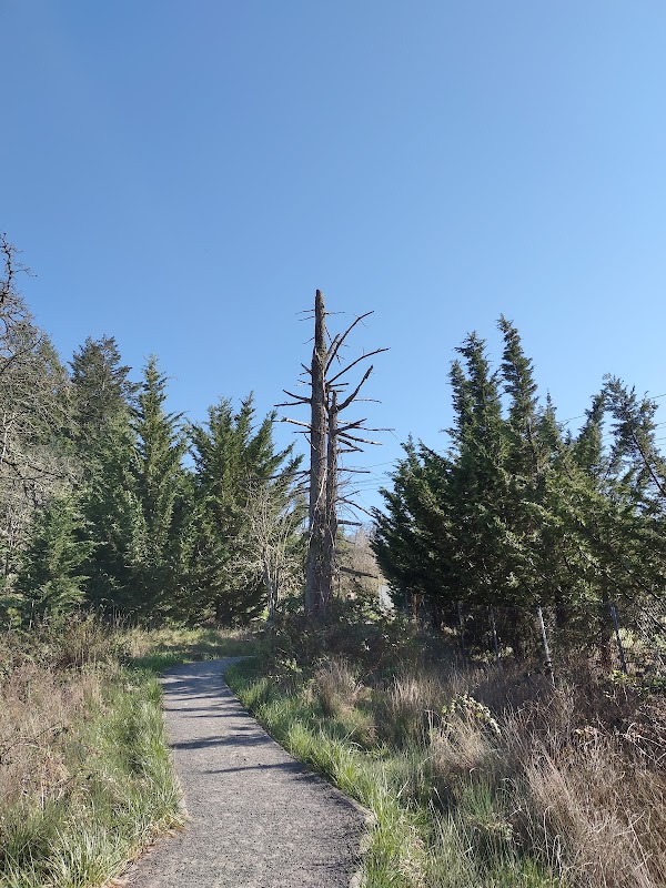 Discover the Serenity of Wild Iris Ridge surrounding landscape
