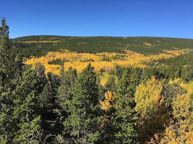 Scenic Drive on Peak To Peak Byway - Peak To Peak Scenic Byway