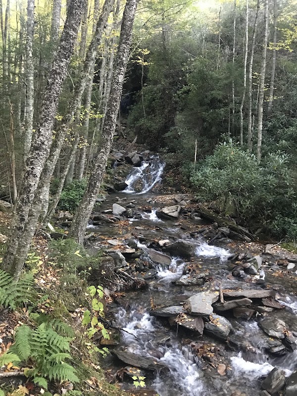 Discover the Majesty of Mount Leconte - Mount Leconte