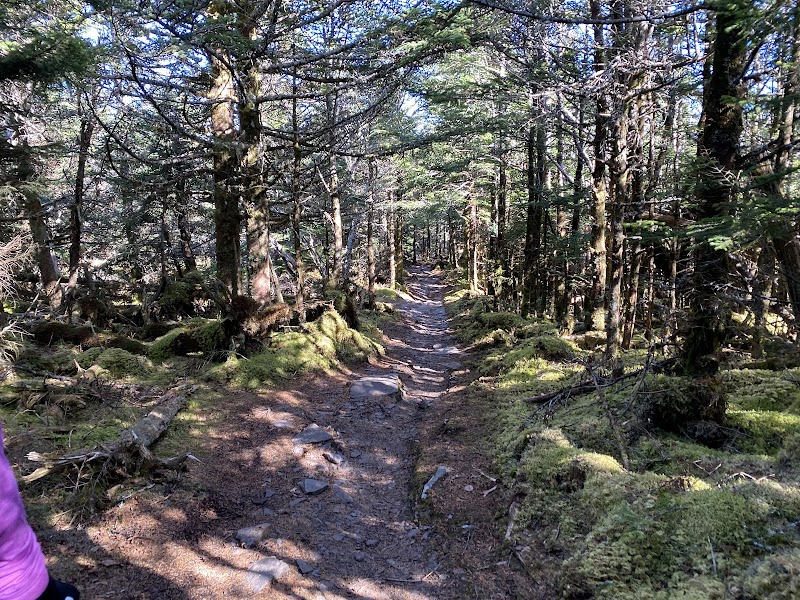 Discover the Majesty of Mount Leconte - Mount Leconte