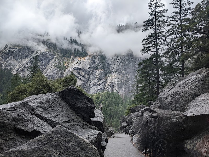 Streamside Tranquility at Mist Trailhead - Mist Trailhead