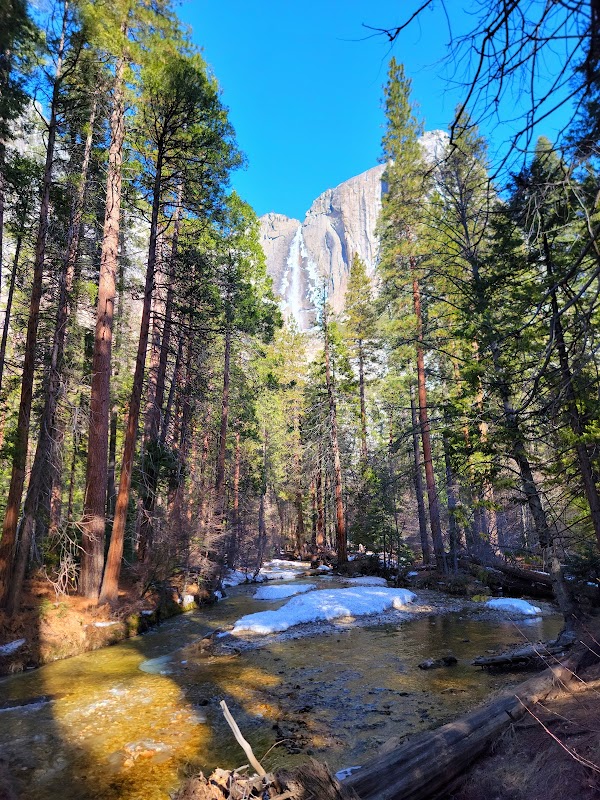 Majestic Upper Yosemite Falls in California surrounding landscape