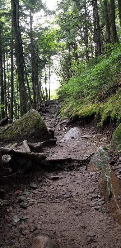 Majestic Peaks: Mount Le Conte, Tennessee - Mount Le Conte