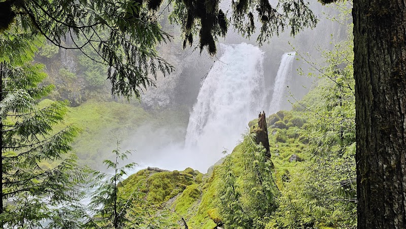 Waterfall Wonders: Koosah and Sahalie Falls Trail outdoor detail