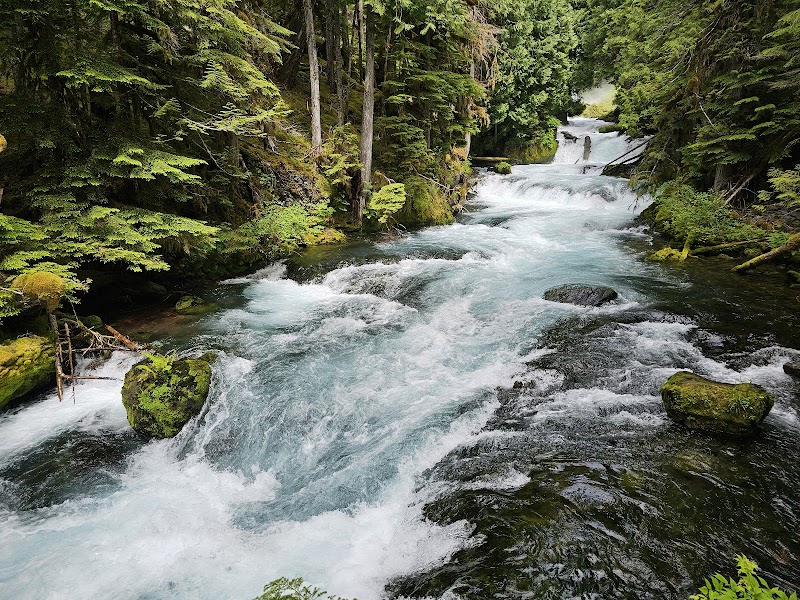 Waterfall Wonders: Koosah and Sahalie Falls Trail - Koosah and Sahalie Falls Trail