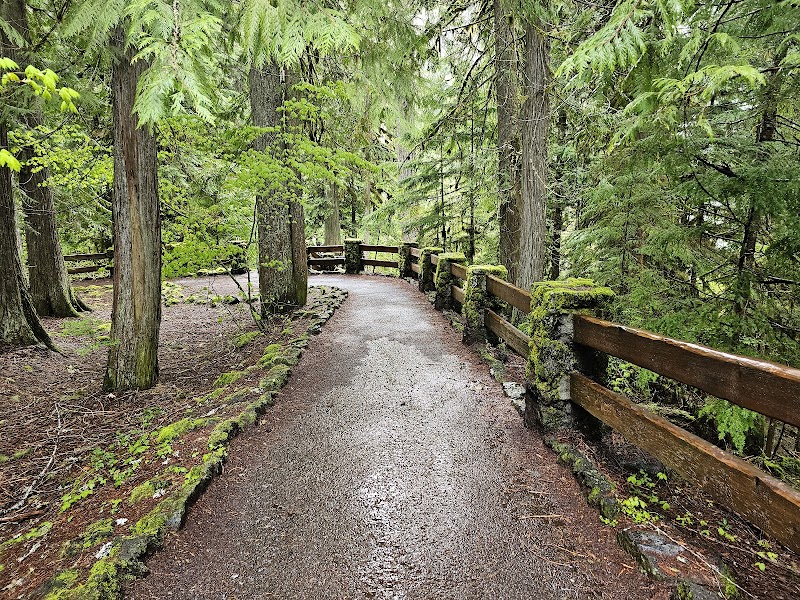Waterfall Wonders: Koosah and Sahalie Falls Trail surrounding landscape