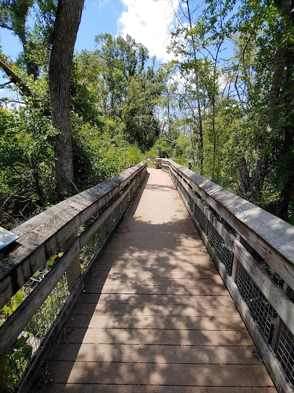 Refreshing Getaway: Pitt and Sylvan Springs - Pitt and Sylvan Springs