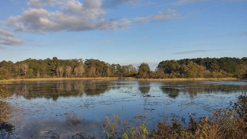 Nature's Haven: Apalachee Wildlife Management Area - Apalachee Wildlife Management Area