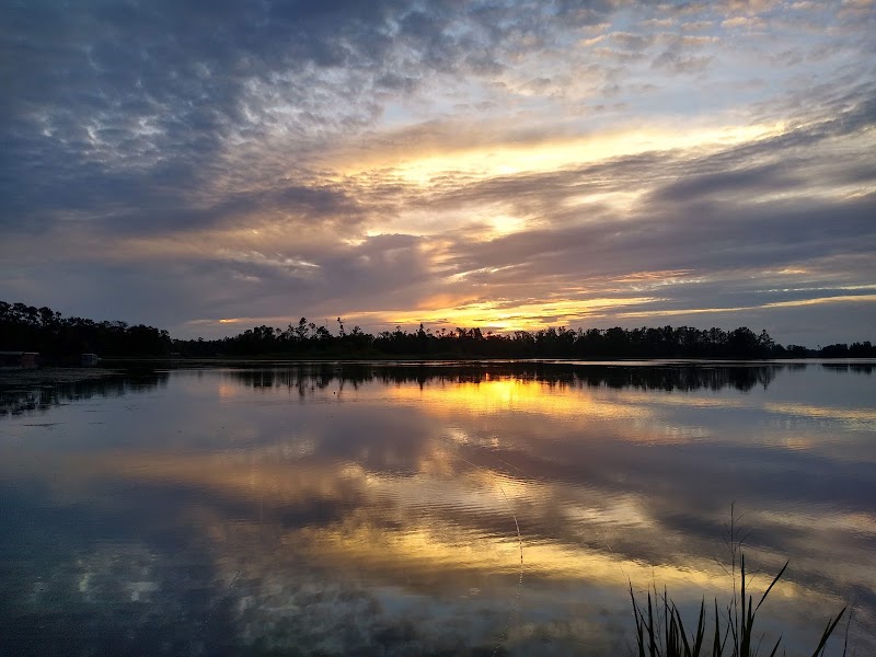 Nature's Haven: Apalachee Wildlife Management Area - Apalachee Wildlife Management Area
