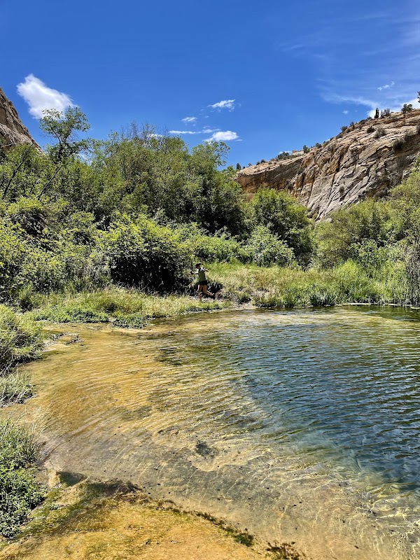 Cascading Beauty at Upper Calf Creek Falls outdoor detail