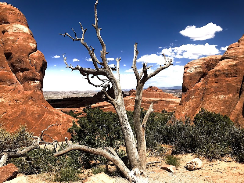 Marvels of Sandstone: Devil's Garden Trail, Moab surrounding landscape