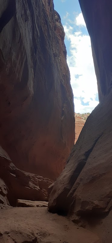 Hiking Through The Colors: The Lower Gulch Trailhead surrounding landscape
