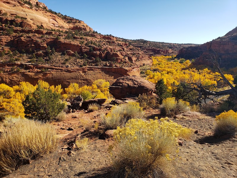 Hiking Through The Colors: The Lower Gulch Trailhead - The Lower Gulch Trailhead