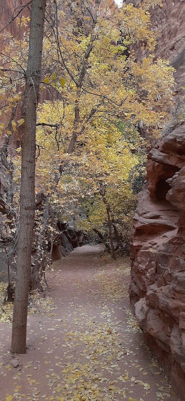 Hiking Through The Colors: The Lower Gulch Trailhead - The Lower Gulch Trailhead