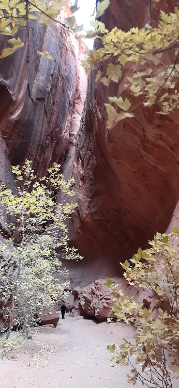 Hiking Through The Colors: The Lower Gulch Trailhead - The Lower Gulch Trailhead