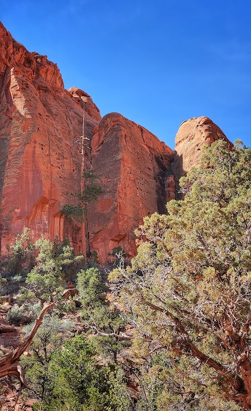 Canyon Adventures in Wolverine Canyon surrounding landscape