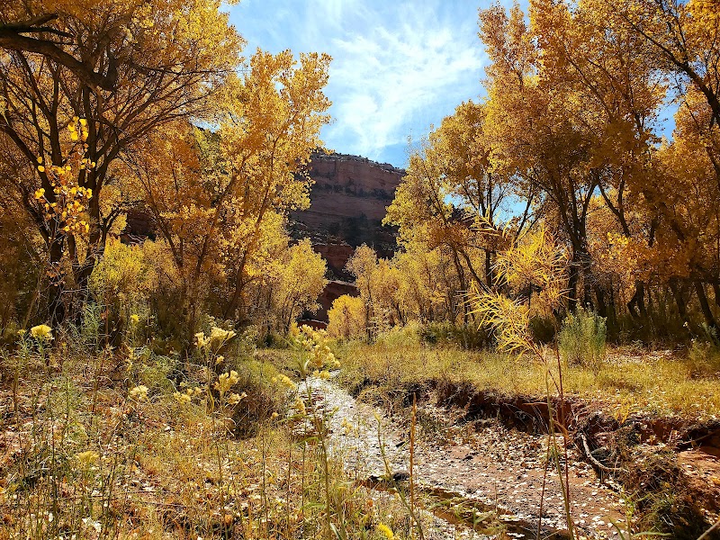 Canyon Wonders: Discover Long Canyon surrounding landscape