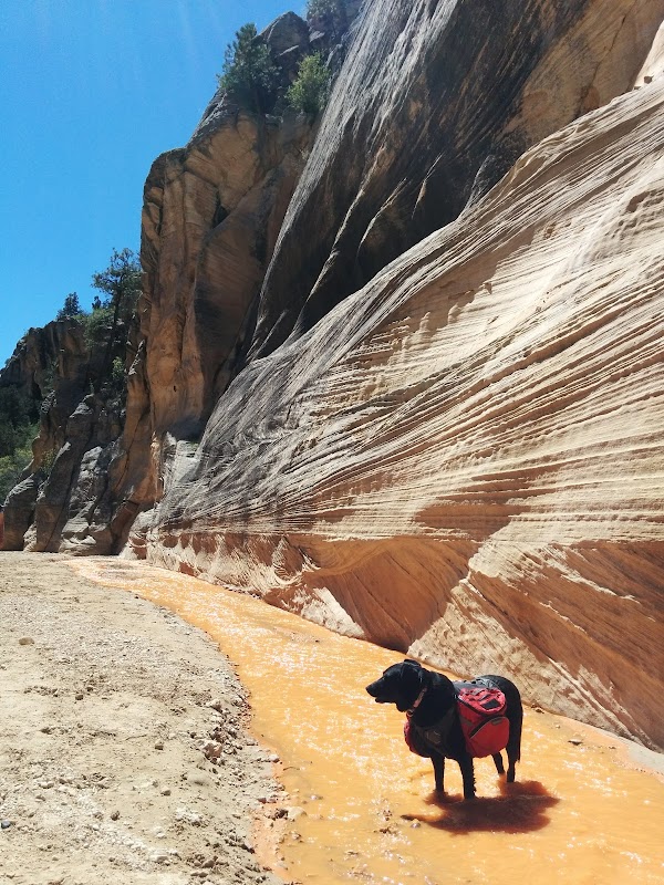 Discover the Mesmerizing Willis Creek Slot Canyon outdoor detail