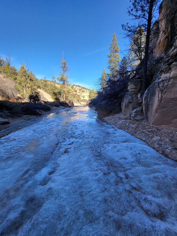 Discover the Mesmerizing Willis Creek Slot Canyon surrounding landscape