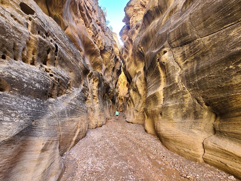 Discover the Mesmerizing Willis Creek Slot Canyon - Willis Creek Slot Canyon Trailhead