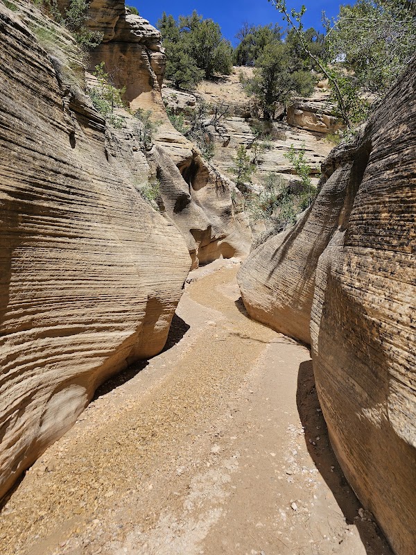 Discover the Mesmerizing Willis Creek Slot Canyon - Willis Creek Slot Canyon Trailhead