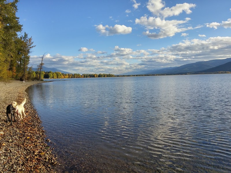 Serenity on the Shores of Swan Lake surrounding landscape