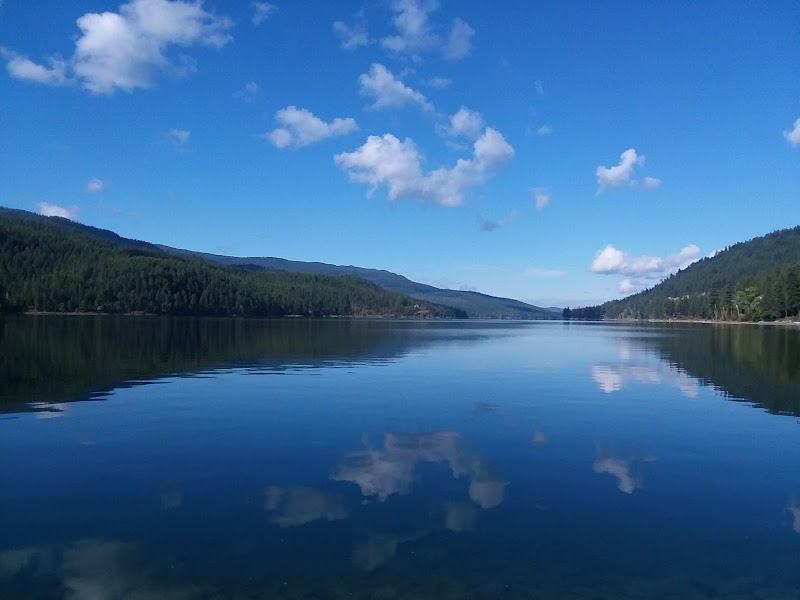 Tranquil Waters of Swan Lake - Swan Lake
