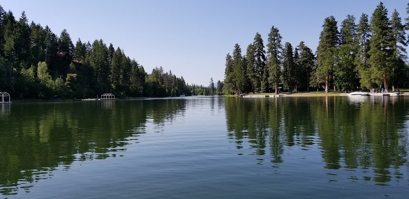 Tranquil Waters of Swan Lake - Swan Lake
