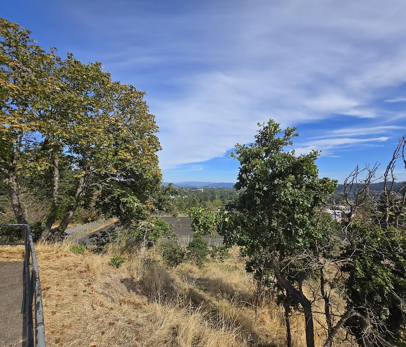 Natural Beauty at Skinner Butte surrounding landscape