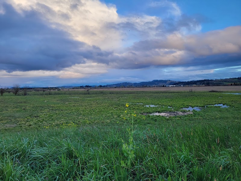 Wildlife Haven at Meadowlark Prairie - Meadowlark Prairie