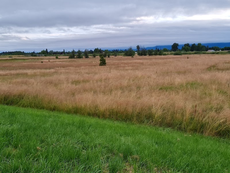 Wildlife Haven at Meadowlark Prairie surrounding landscape