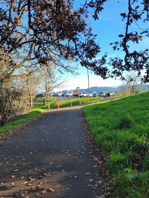 Discover the Natural Charm of Skinner Butte Lookout surrounding landscape
