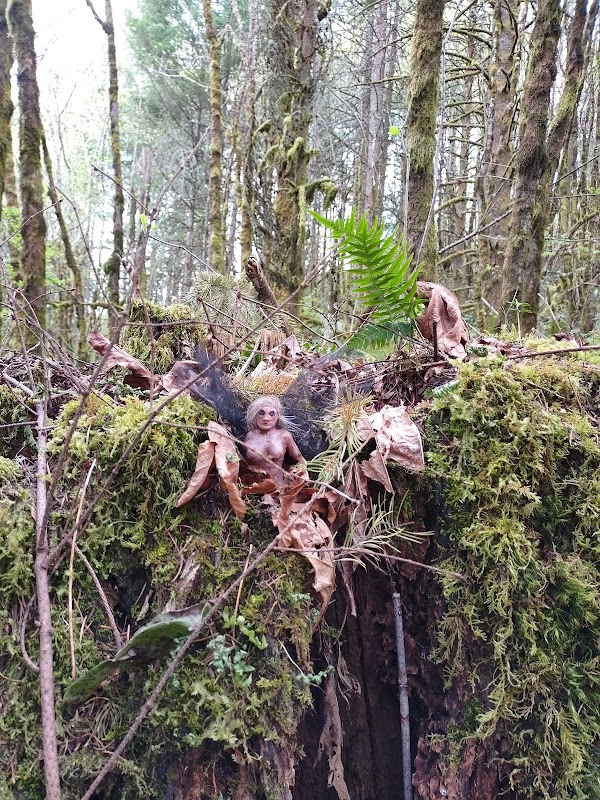 Views and Trails: Spring Boulevard Trailhead, Eugene surrounding landscape