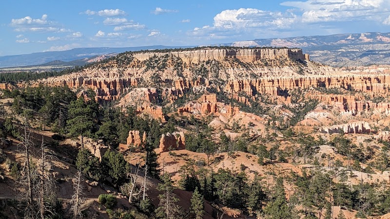 Mesmerizing Hoodoos at Bryce Canyon National Park surrounding landscape