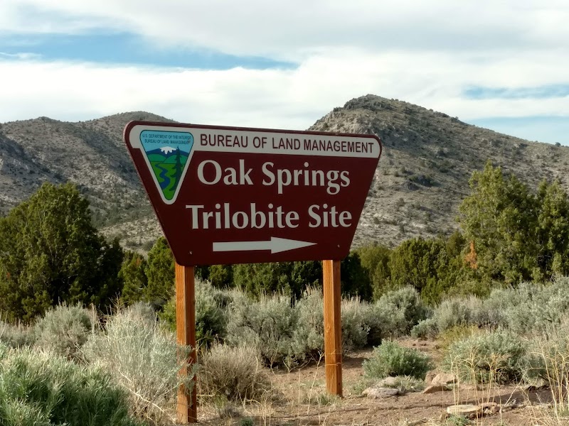 Unearth the Past at Oak Springs Trilobite Area - Oak Springs Trilobite Area